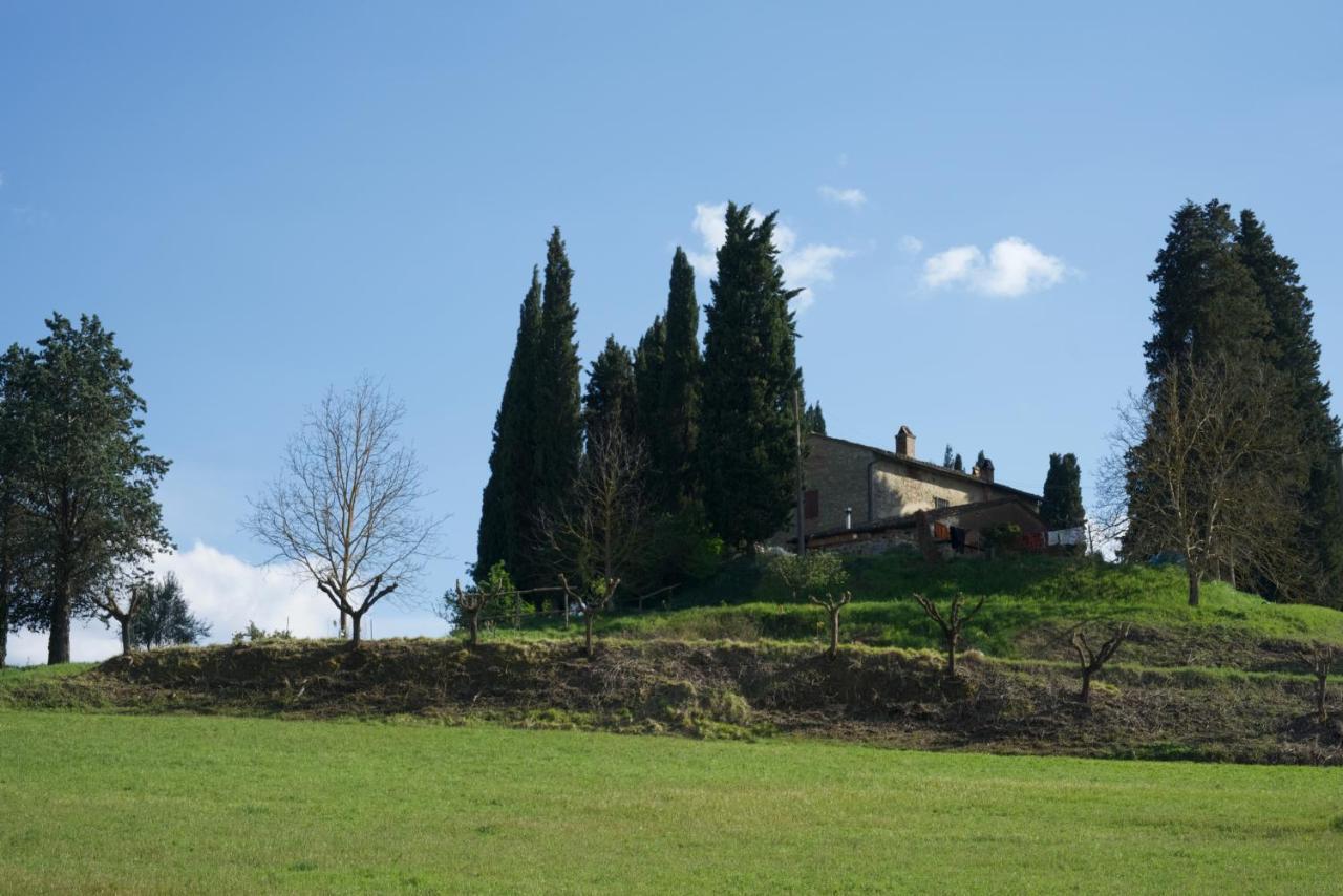 Agriturismo Il Caio Cetona Exterior photo